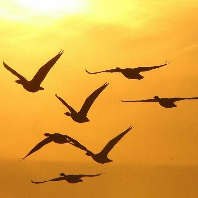 Natasha827 Gardner53