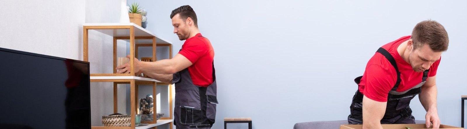 Spider Packers And Movers