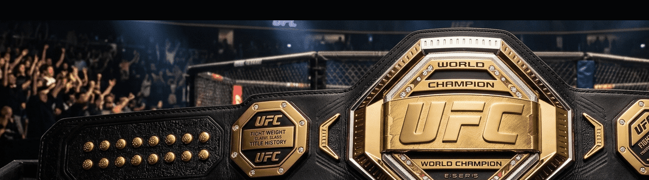UFC Belt