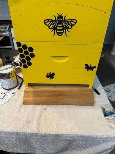 bee hive