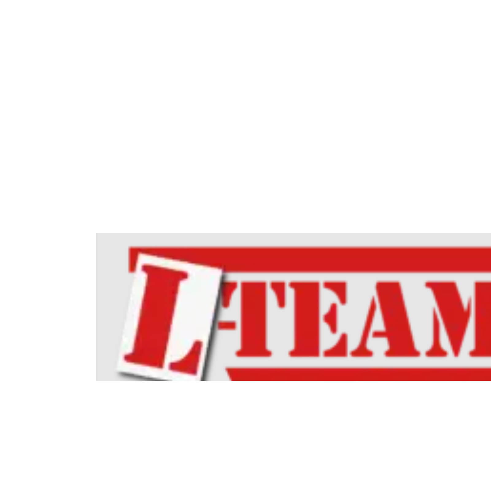 L TEAM DRIVING SCHOOL
