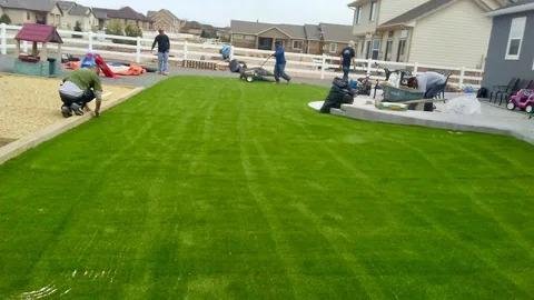 Artifical Grass