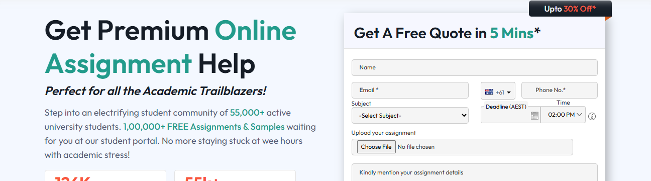 Online Assignment Expert