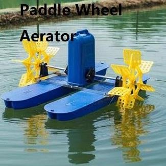 chinaa chinaa