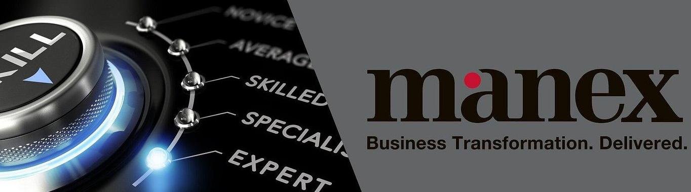Manex Consulting