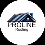 Proline Roofing Service