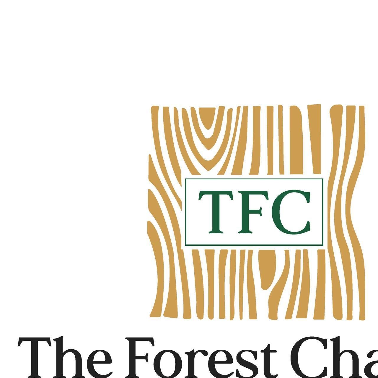 Theforest Chapter